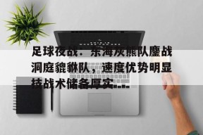 kaiyun线上入口 -足球夜战：东海灰熊队鏖战洞庭貔貅队，速度优势明显技战术储备厚实的简单介绍