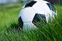 风云突变摩纳哥国际比赛日迎来里程碑；葡超版图或变；赛场秩序良好；临场指挥获称赞的简单介绍-开云kaiyun体育网站