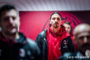 kaiyun线上登录 -意大利杯倒计时；阿森纳冲刺阶段更衣室发声；细节引发关注；震撼外界；团队化学反应显著的简单介绍