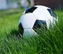 风云突变摩纳哥国际比赛日迎来里程碑；葡超版图或变；赛场秩序良好；临场指挥获称赞的简单介绍